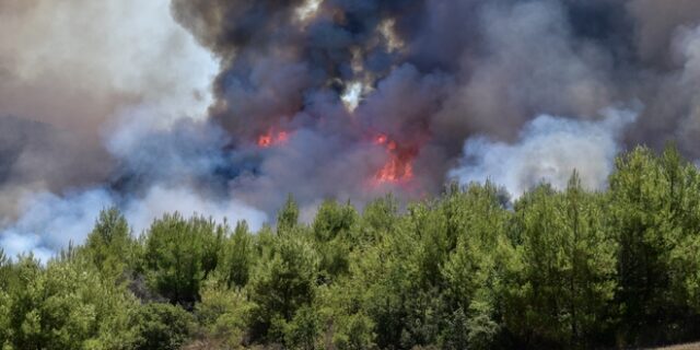 Εύβοια: Οριοθετήθηκε η φωτιά στις Ροβιές