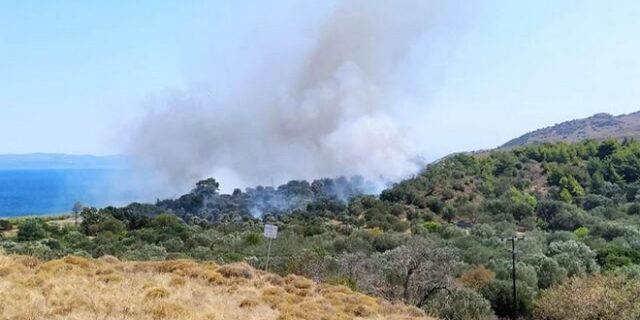 Φωτιά σε δάσος της Λέσβου