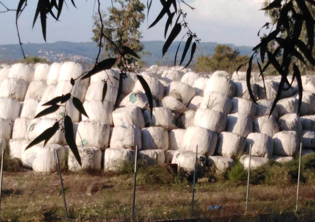 Πύργος: “Υγειονομική βόμβα” με 100.000 δεματοποιημένα σκουπίδια στον Αλφειό