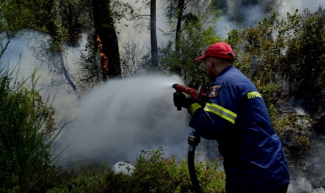 Φωτιά σε χωριό της Κύπρου κοντά στις βρετανικές βάσεις