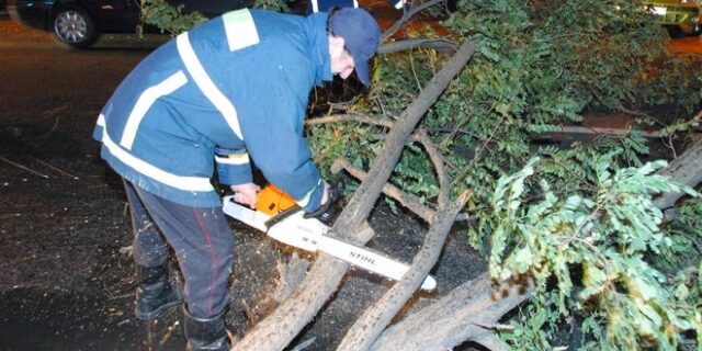 Ξεριζωμένα δέντρα σε Ιόνιο και Δυτική Ελλάδα – Διακοπές ρεύματος στην Ιθάκη