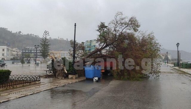 Περίπου 100 κλήσεις για κοπές δέντρων και αφαιρέσεις αντικειμένων λόγω “Ιανού”