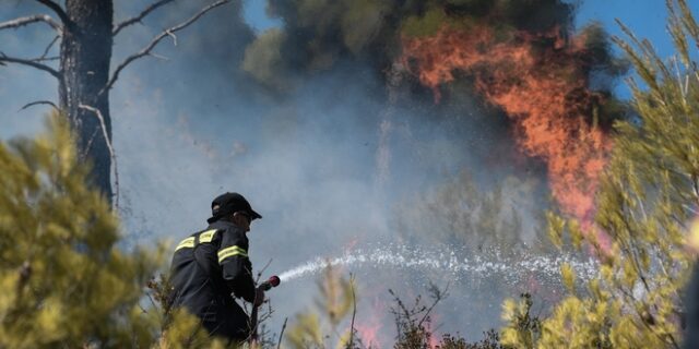 Σε εξέλιξη φωτιά στο Μεσολόγγι