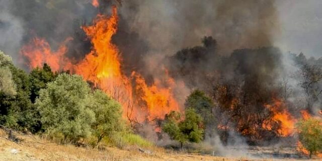 Σε ύφεση οι φωτιές σε Πάτρα και Αλεξανδρούπολη – Νέα φωτιά στο Οίτυλο Λακωνίας