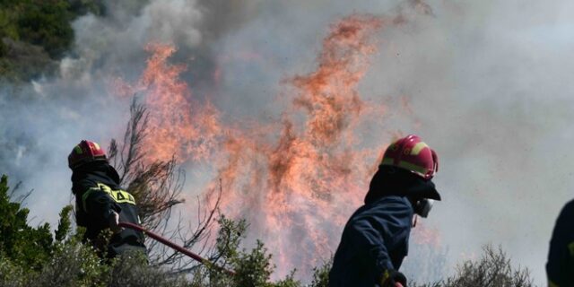 Σε εξέλιξη φωτιά στον Ξηρόκαμπο Ηλείας