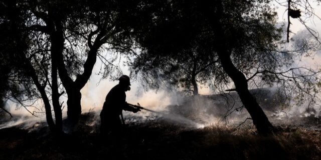 Σε ύφεση η φωτιά στην Ανάβυσσο με μικρές αναζωπυρώσεις – Καλύτερη εικόνα στην Αμαλιάδα