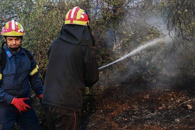 Νέα φωτιά στη Δυτική Μάνη – Καλύτερη εικόνα στο Σοφικό