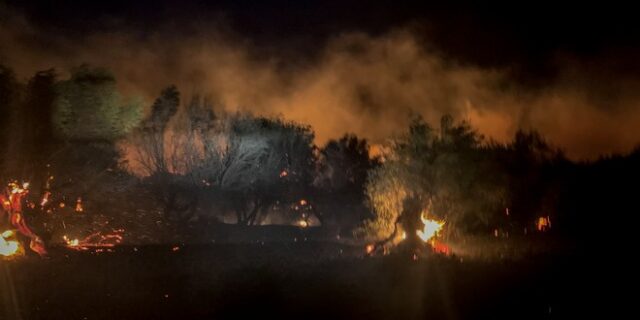 Δήμαρχος Κεφαλονιάς: Κάποιοι θέλουν να κάψουν τα σπίτια μας