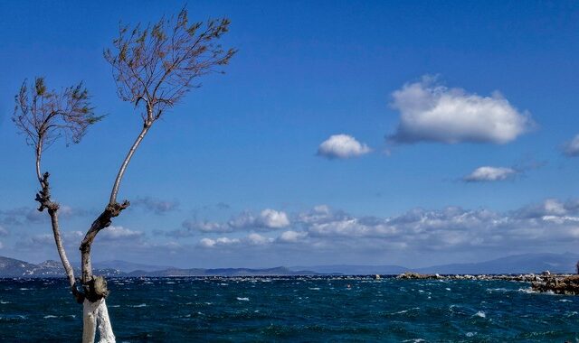 Κανονικές θερμοκρασίες το Σάββατο και άνεμοι ως 7 μποφόρ