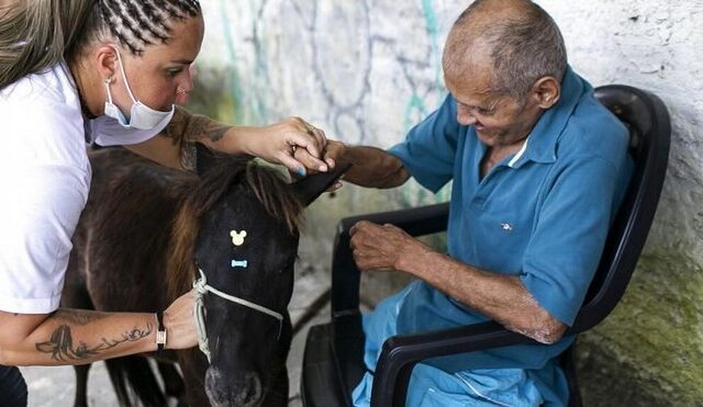 Βραζιλία: Εγκαταλελειμμένα ζώα κάνουν παρέα σε ηλικιωμένους στα γηροκομεία