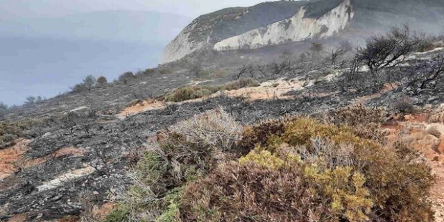 Ζάκυνθος: Κάηκε η βλάστηση πάνω από την παραλία του “Ναυαγίου”