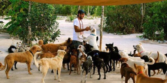 Άνοιξε το σπίτι του σε 300 σκυλιά για να τα σώσει από τυφώνα