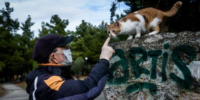 Ο κ. Γιάννης στέλνει 6 και βγάζει βόλτα τη γάτα του, τη Λάντα