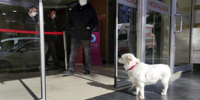 Τουρκία: Σκύλος περίμενε επι 5 μέρες τον ιδιοκτήτη του έξω απο νοσοκομείο