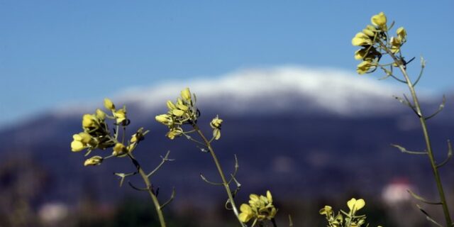 Καιρός: Βαθμιαία βελτίωση και άνοδος της θερμοκρασίας