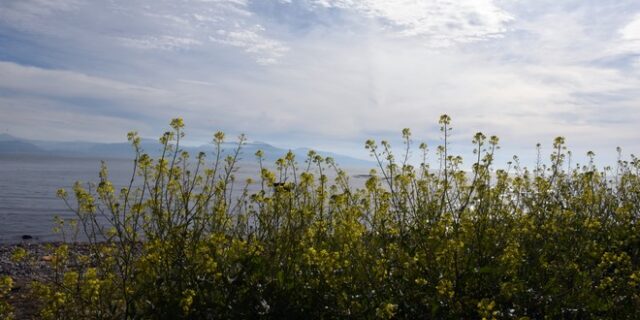 Καιρός: Βελτιωμένος στο μεγαλύτερο μέρος της χώρας – Λίγες βροχές στα νότια