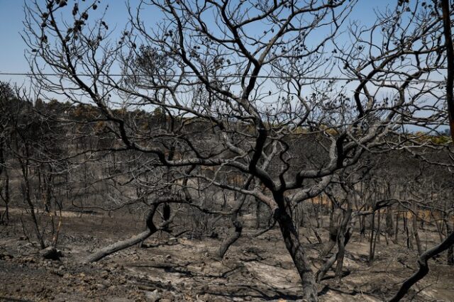 Ακόμη σβήνονται μικροεστίες στα ορεινά των Γερανείων – 60.000 στρέμματα έγιναν στάχτη