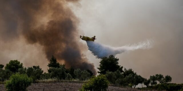 Φωτιά στα Γεράνεια Όρη: Απανωτές αναζωπυρώσεις – Εκκενώθηκαν δύο μικροί οικισμοί