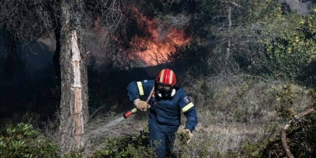 Φωτιά στα Γεράνεια Όρη: Τεράστια οικολογική καταστροφή – Οι άνεμοι πρόλαβαν τον κρατικό μηχανισμό