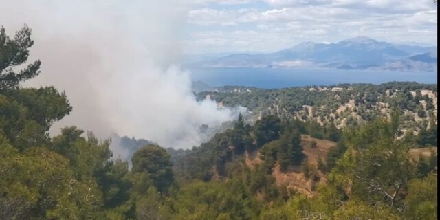 Φωτιά στα Γεράνεια Όρη: Αναζωπύρωση μέσα σε χαράδρα πίσω από τον Πευκενέα