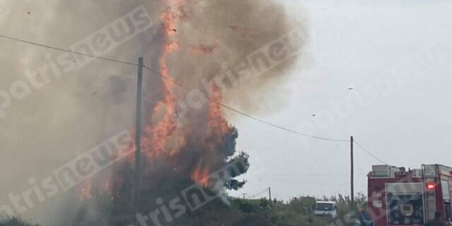 Πύργος: Υπό μερικό έλεγχο η φωτιά δίπλα στην Εθνική Οδό