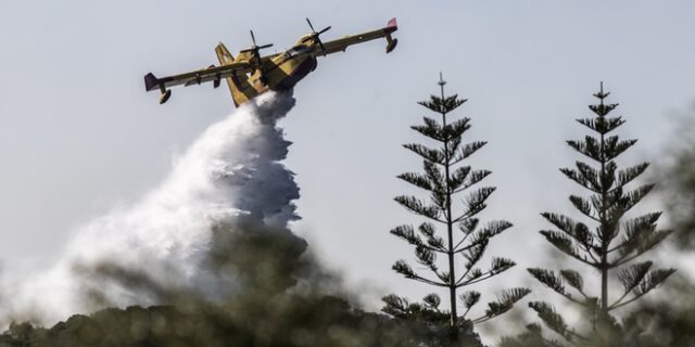 Οριοθετήθηκε η φωτιά στην Ιστιαία Εύβοιας