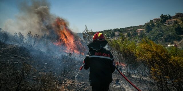 Φθιώτιδα: Δύο φωτιές σε μικρό χρονικό διάστημα