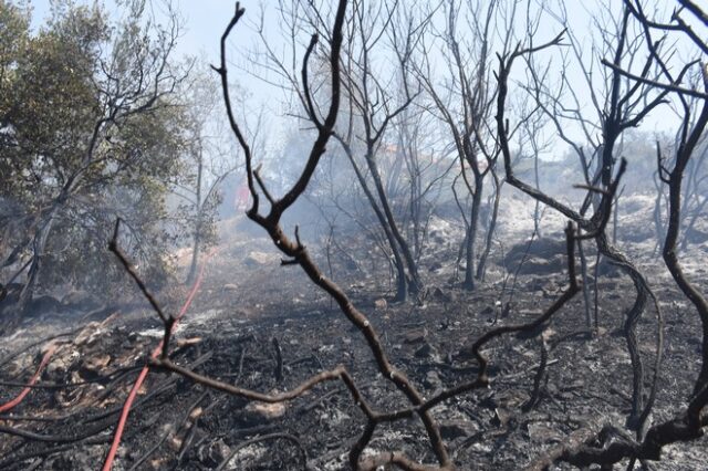 Πυροσβεστική: 68 φωτιές το τελευταίο 24ωρο – Σε εξέλιξη αλλά καλύτερη η εικόνα στα Μέθανα