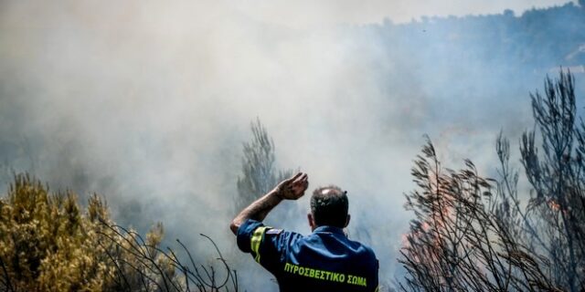 Φωτιά στην Αργολίδα: Υπό έλεγχο η πυρκαγιά στο Αραχναίο