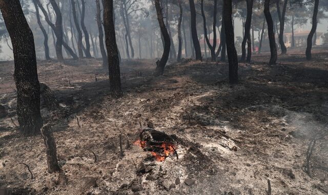 Δύο νέες συλλήψεις για εμπρησμό – Συνολικά 22 σε όλη την χώρα