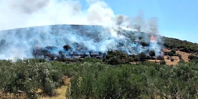 Φωτιά στα Στύρα Ευβοίας: Εκκενώθηκαν δύο οικισμοί – “Εφιαλτική η κατάσταση”, λέει ο Δήμαρχος