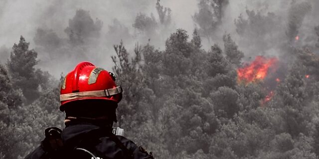 Φωτιά στα Βίλια: Μάχη με τις αναζωπυρώσεις – Ζημιές σε σπίτια