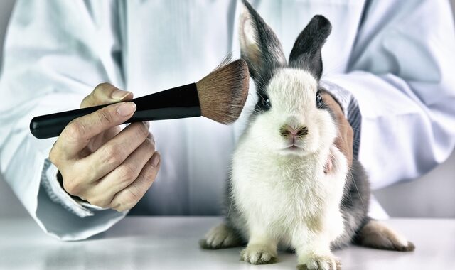 Μεγάλη Βρετανία: Ανησυχίες για το ενδεχόμενο δοκιμής καλλυντικών συστατικών σε ζώα