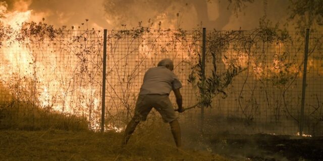 Εύβοια: Ο κύριος Αποστόλης από την Αλβανία έσωσε το σπίτι του με ένα κλαδί – “Έχω υποχρέωση στον τόπο”