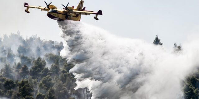 Φωτιά στα Βίλια: Ενισχύθηκαν οι δυνάμεις πυρόσβεσης – Στάχτη χιλιάδες στρέμματα πυκνού πευκοδάσους