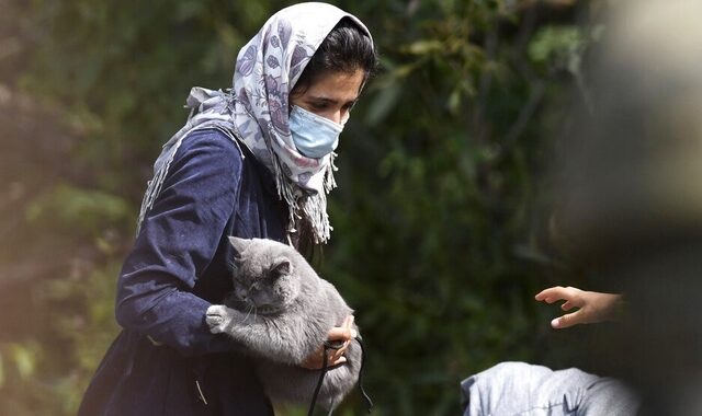Αφγανιστάν: Το Λονδίνο ετοιμάζει επιχείρηση διάσωσης για 200 σκύλους και γάτες