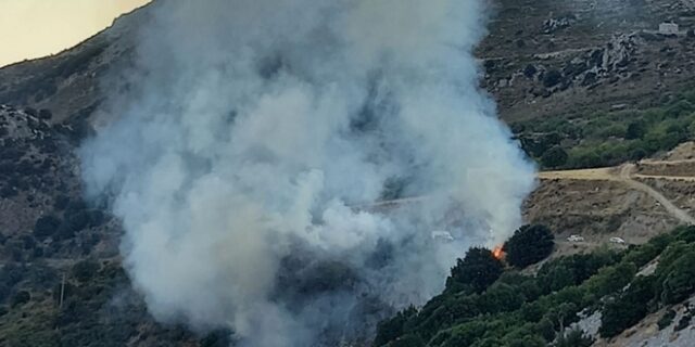 Κρήτη: Υπό έλεγχο η φωτιά στο Λασίθι