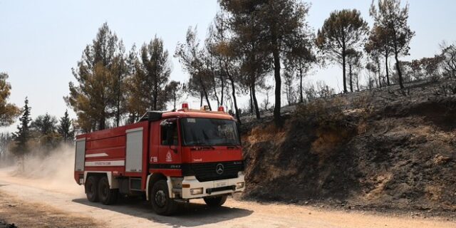 Κως: Άμεση επέμβαση της Πυροσβεστικής σε φωτιά που ξέσπασε δίπλα σε σπίτια