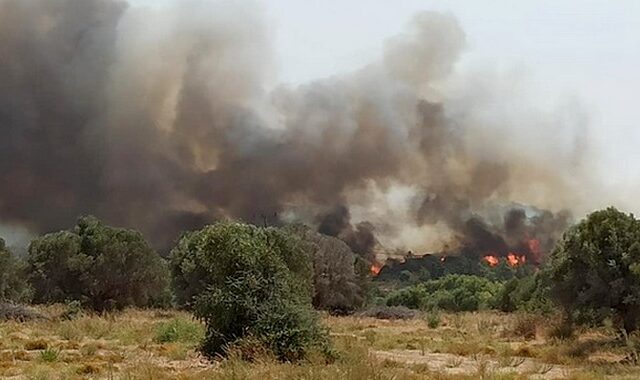 Φωτιά στη Ρόδο: Χωρίς ρεύμα μεγάλο μέρος του νησιού – Εκκενώθηκε στρατόπεδο