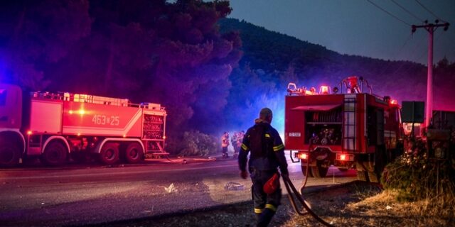 Φωτιά στα Βίλια: Οριοθετήθηκε μετά από πέντε ημέρες – Επιτήρηση για τυχόν αναζωπυρώσεις