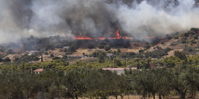 Πώς αποζημιώνονται οι αγρότες και οι πληγέντες από τις πρόσφατες πυρκαγιές – Τι λέει το ΦΕΚ