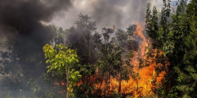 Φωτιά στα Λεχαινά Ηλείας – Υπό μερικό έλεγχο στις Μυκήνες