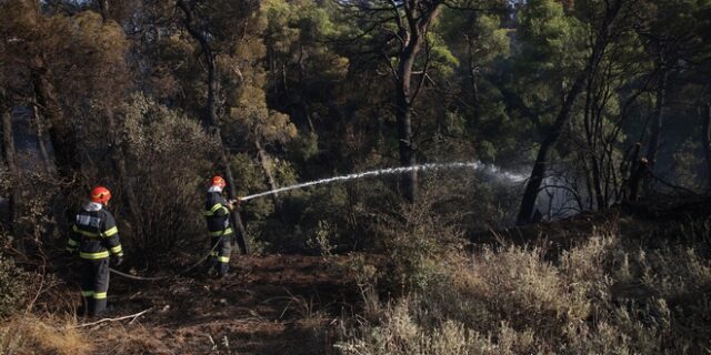 Ηλεία: Φωτιά στην περιοχή Άγναντα