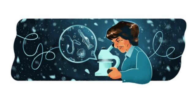 Ángeles Alvariño: Η Google τιμά doodle τη σπουδαία Ισπανίδα βιολόγο