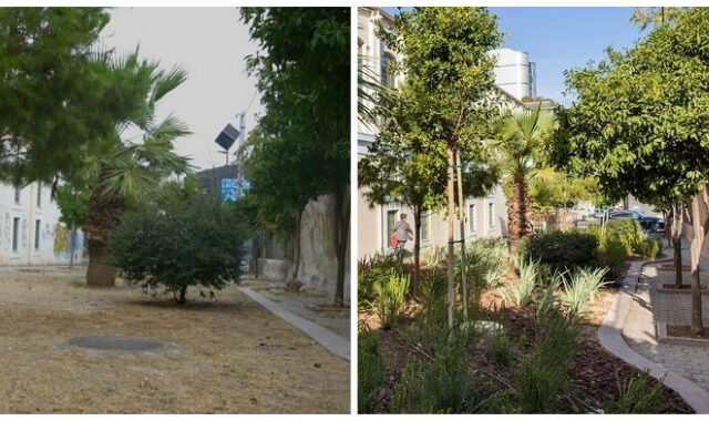 Πράσινες πινελιές στο κέντρο της πόλης – Τα Πάρκα Τσέπης από την P&G εξαπλώνονται και ομορφαίνουν την Αθήνα