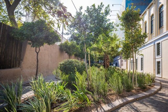 Μια ακόμα γειτονιά στην Αθήνα πρασινίζει με το νέο Πάρκο Τσέπης στα Πετράλωνα