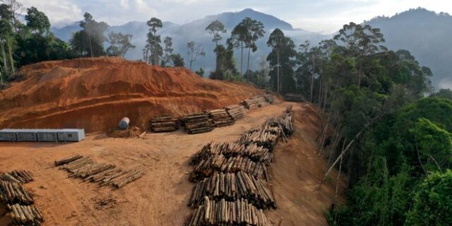 COP26: Δέσμευση για τερματισμό της αποψίλωσης των δασών ως το 2030