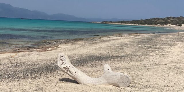 ΣΤΟΠ στη μαζική και ανεξέλεγκτη αποβίβαση τουριστών στο νησί Χρυσή στη Ν. Κρήτη το 2022