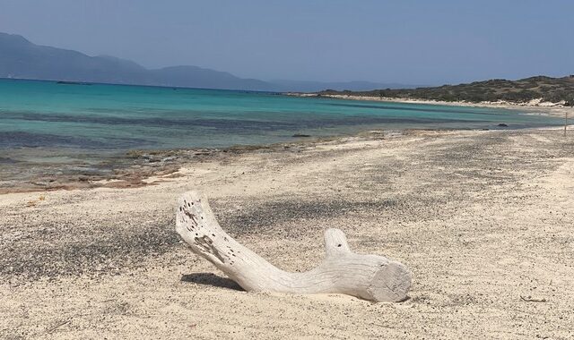 ΣΤΟΠ στη μαζική και ανεξέλεγκτη αποβίβαση τουριστών στο νησί Χρυσή στη Ν. Κρήτη το 2022