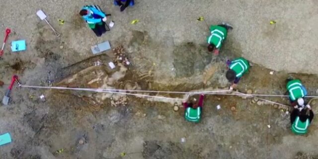 Βρέθηκε απολιθωμένος “θαλάσσιος δράκος” τεραστίων διαστάσεων